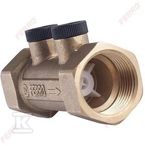 FERRO Zawór antyskażeniowy 2" klasy EA ZZA06 G2" GW.WEW FERRO Zawór antyskażeniowy 2" klasy EA ZZA06 G2" GW.WEW
