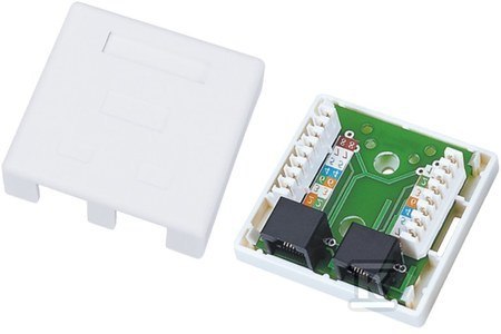 Gniazdo UTP Kat. 5e 2xRJ45 Natynkowe Gniazdo UTP Kat. 5e 2xRJ45 Natynkowe